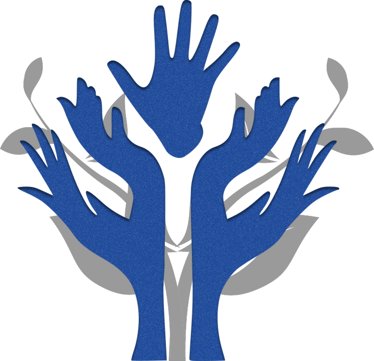 Obra Assistencial Associação  Espírita O Semeador